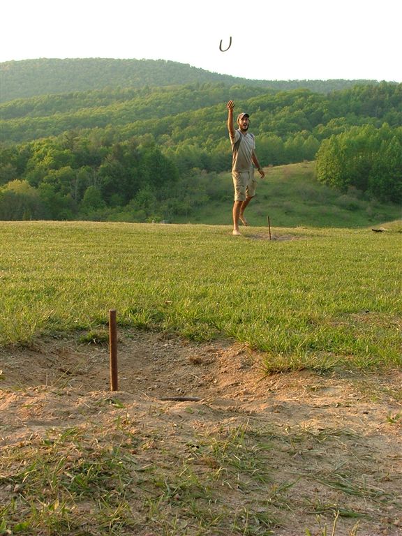 Horseshoe Toss None