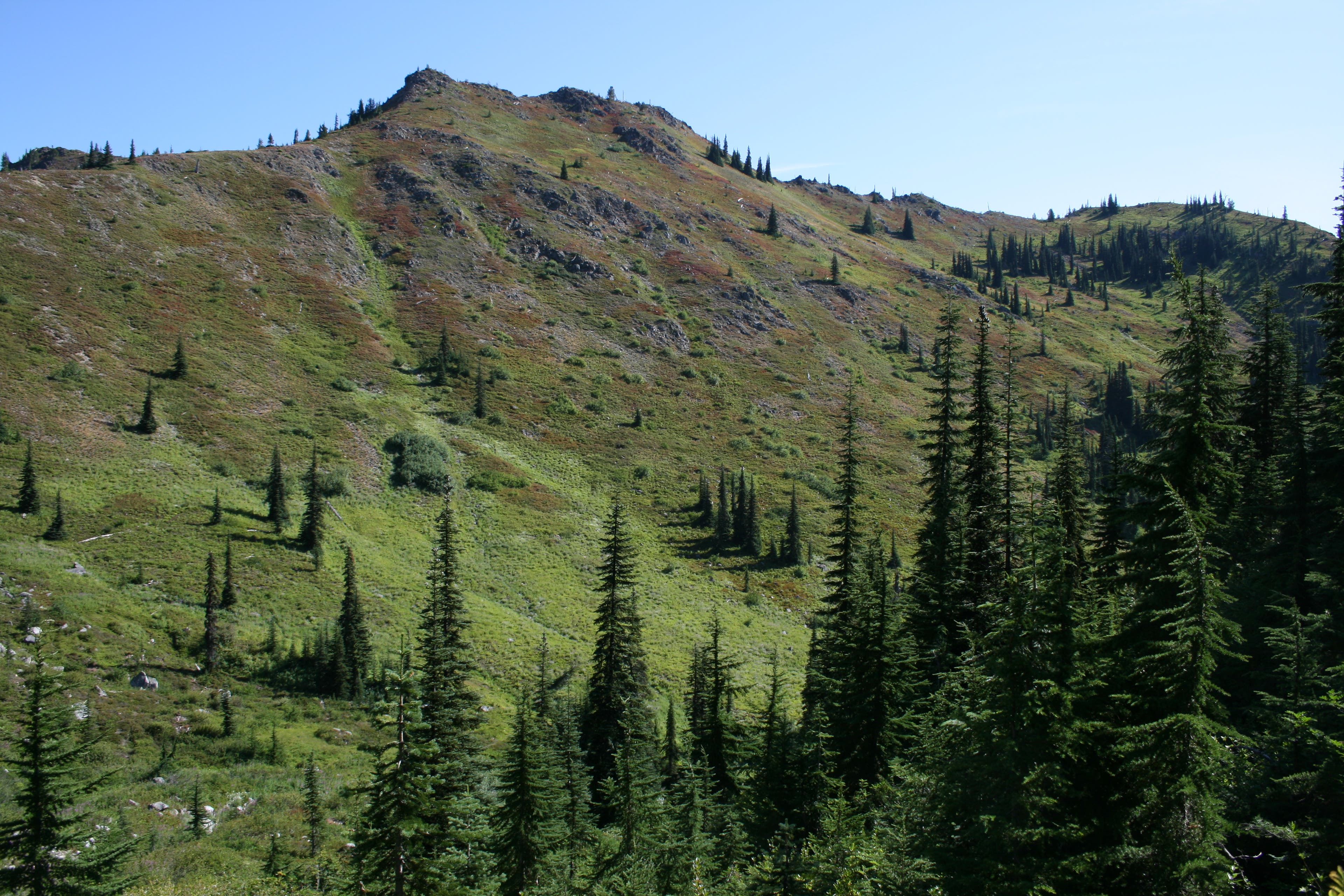 Huckleberry Hill None