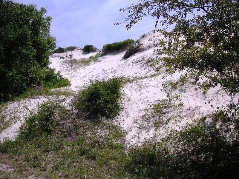 Huge Dunes None