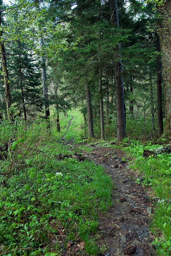 Hughes Ridge Trail None