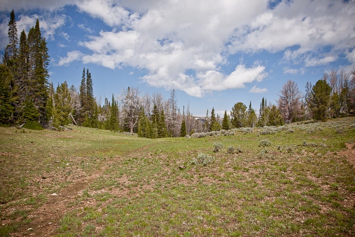 Hunter Creek Summit None