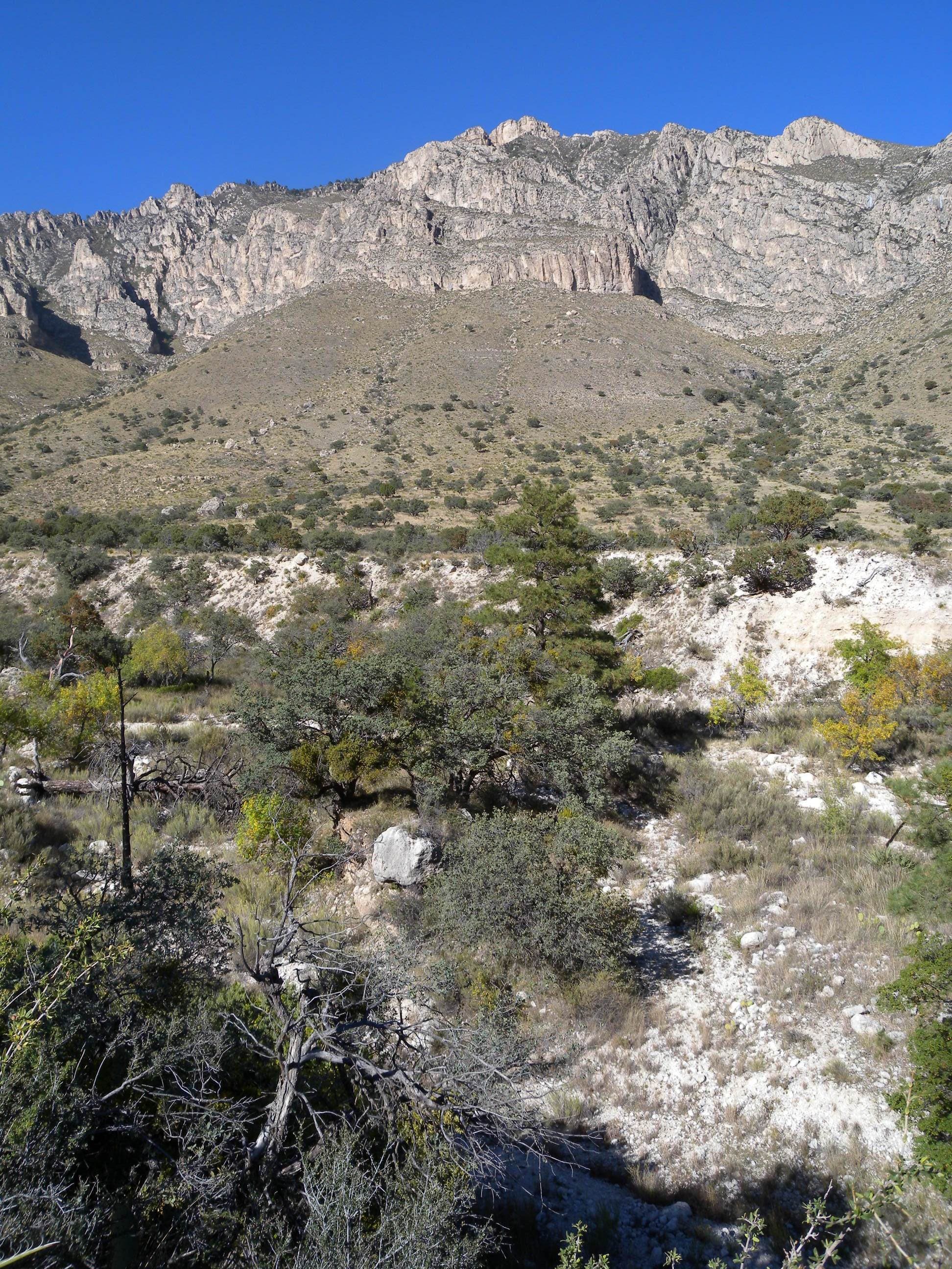 Views of the rocky Hunter Peak from the beginning of the Devil's Hall Trail.