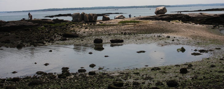 Hunters Island None