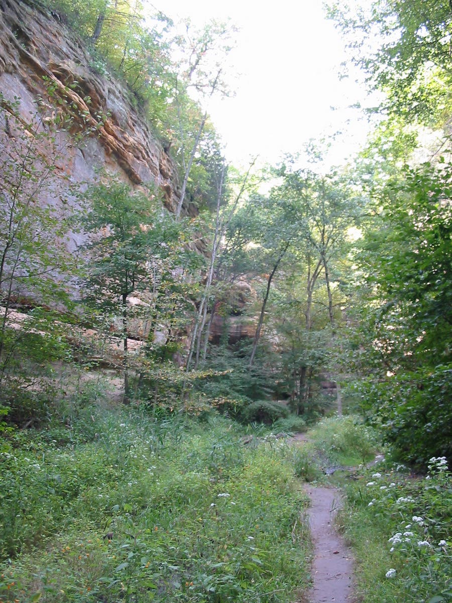 Illinois Canyon None