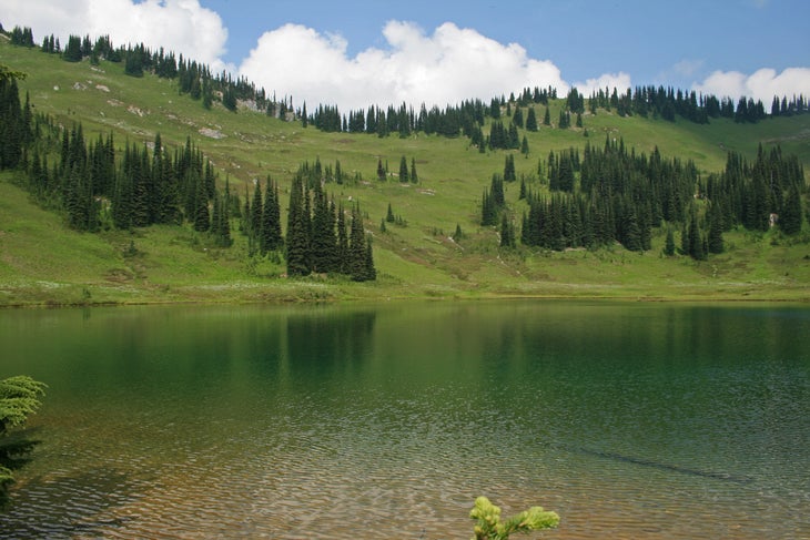 Image Lake None