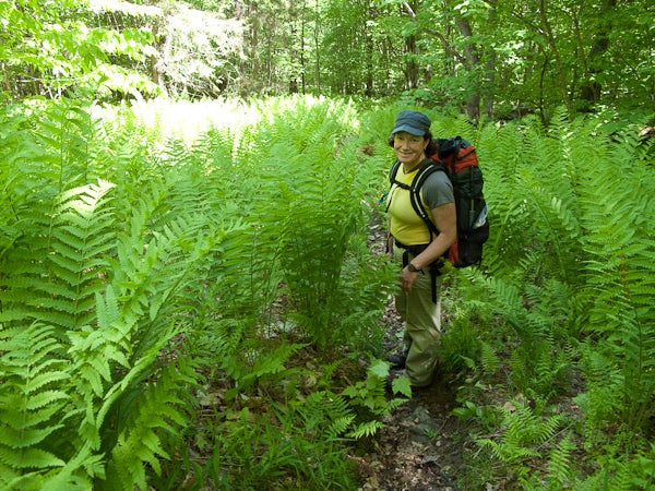In the Ferns None