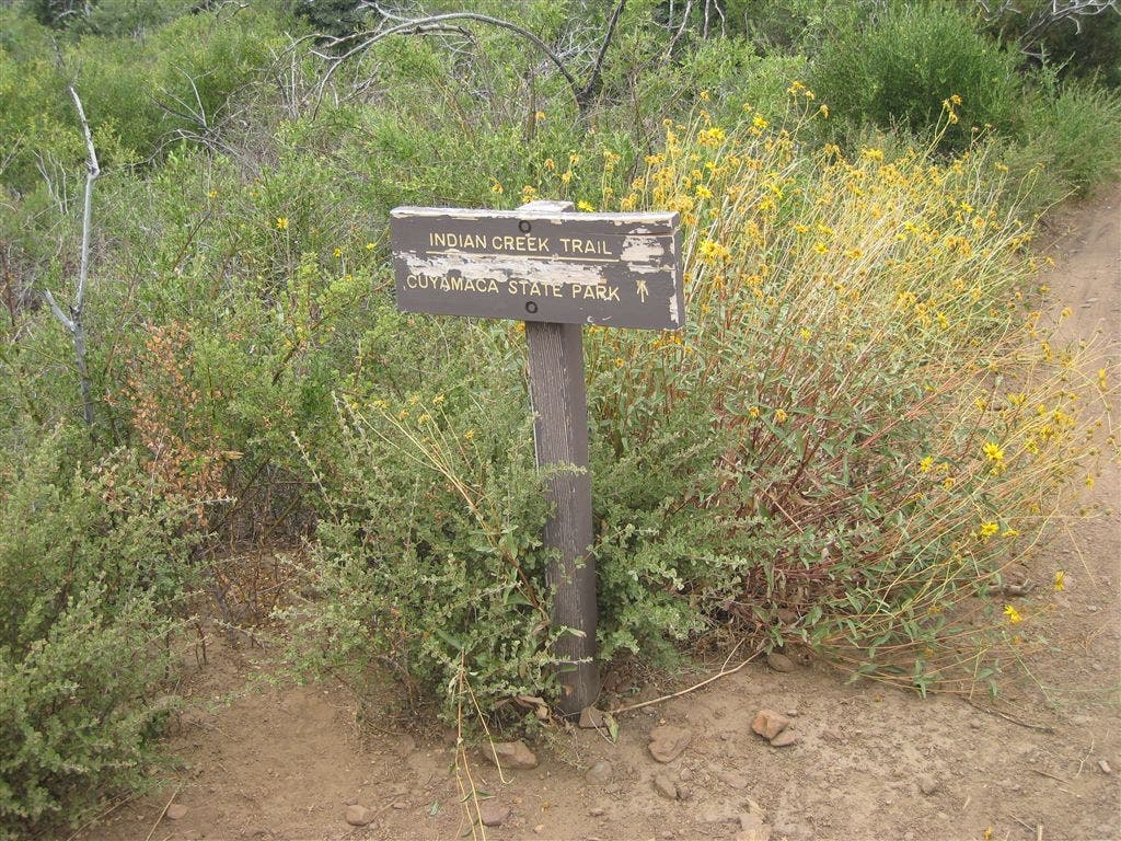 Indian Creek Trail None