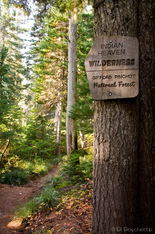 Indian heaven outlet wilderness hikes