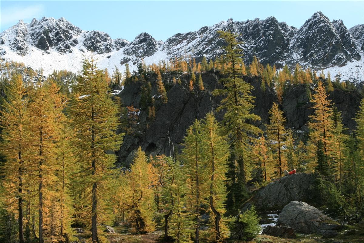 Inspiration Rock None