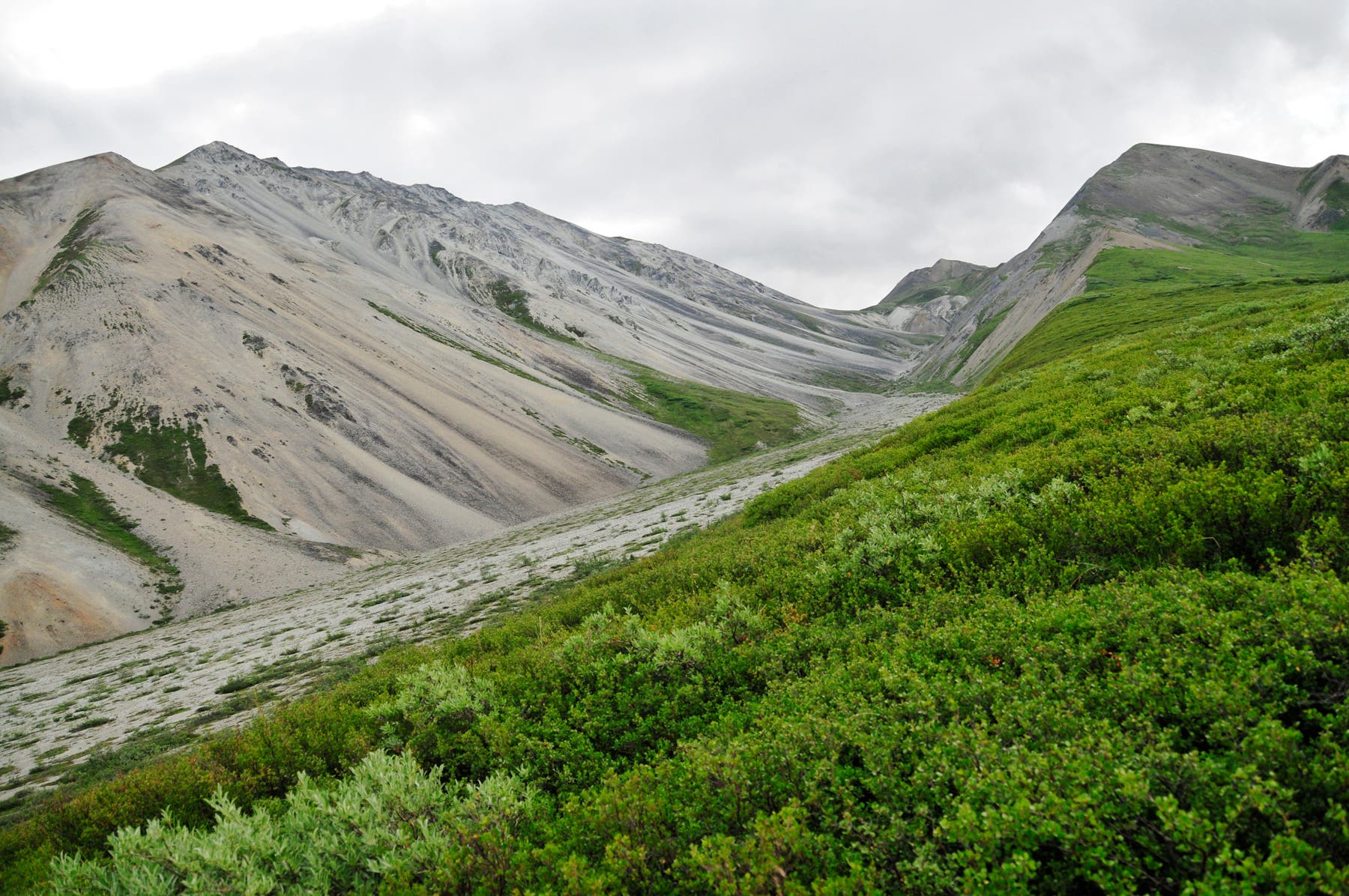 Intermittent Creek Drainage None