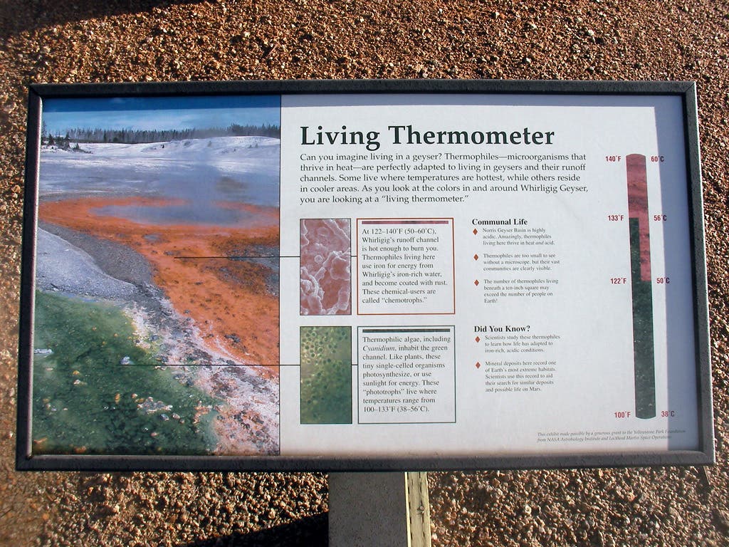 Interpretive Sign None