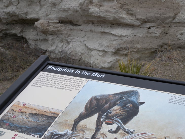 Interpretive Signs None