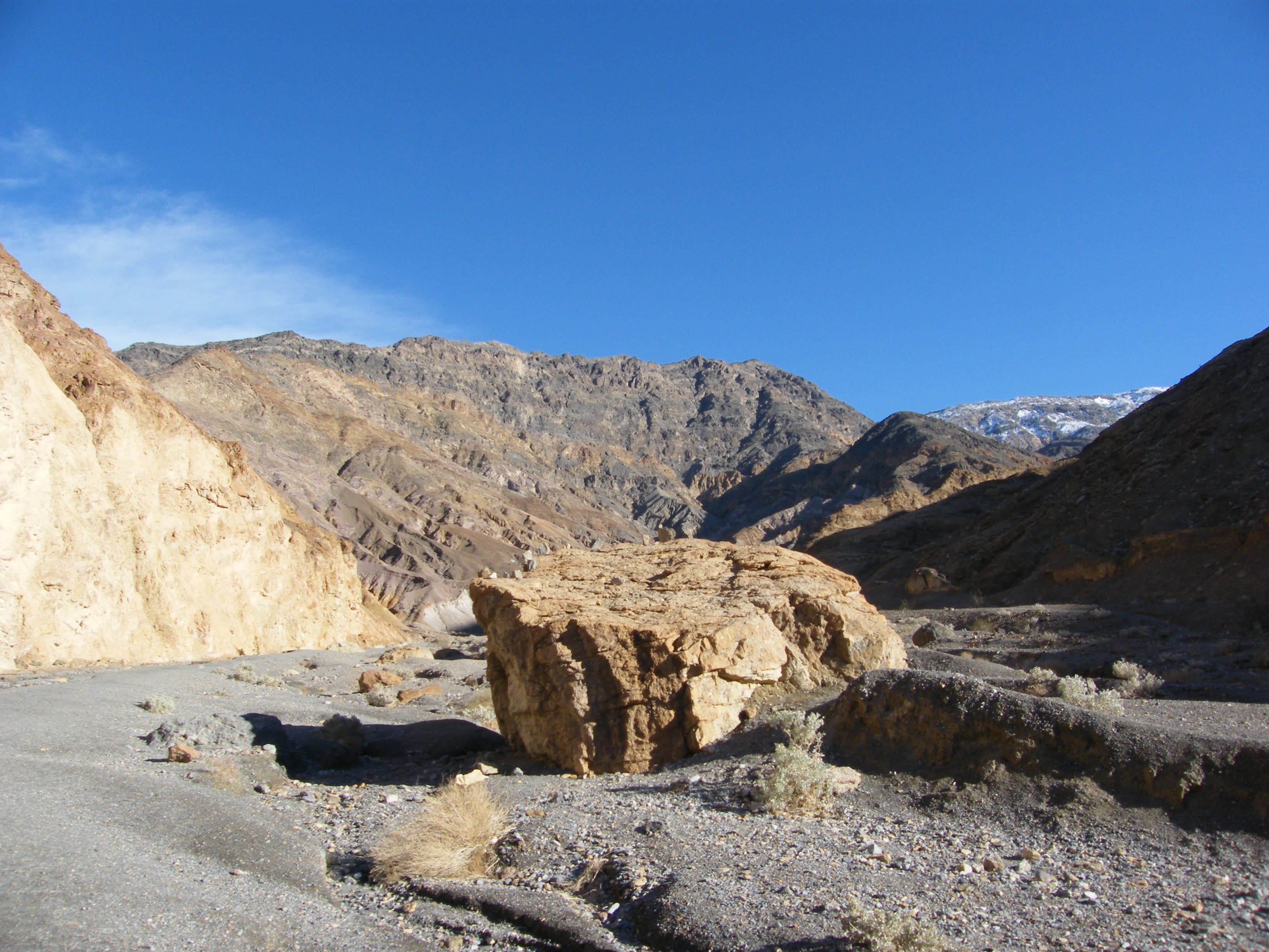 Into the wide open. None