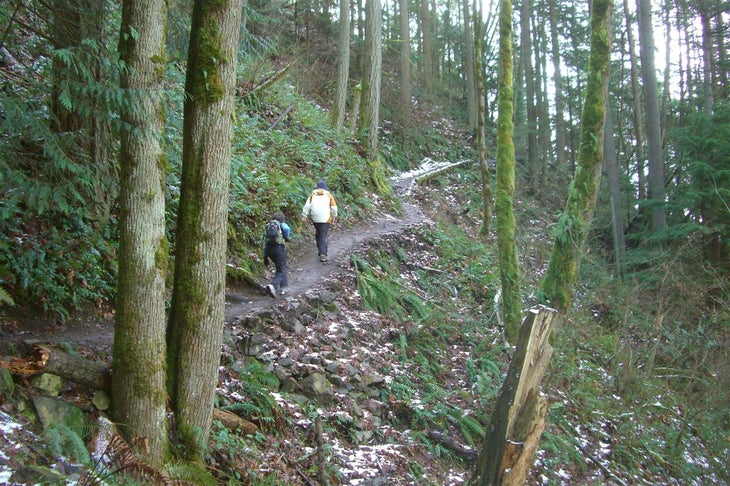 Into the Woods None