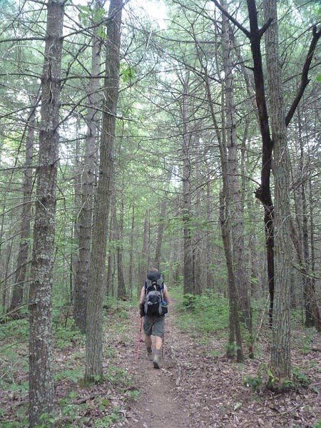 Iron Mountain Trail None