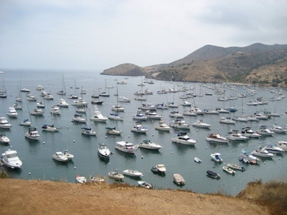 Isthmus Cove None