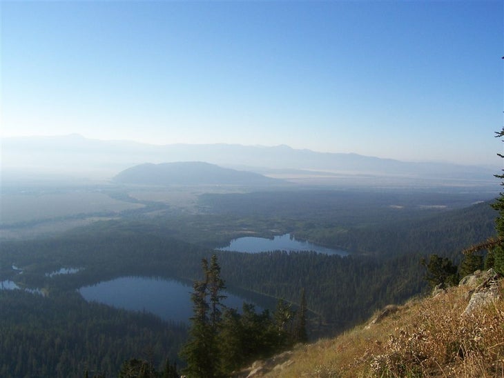 Jackson Hole None