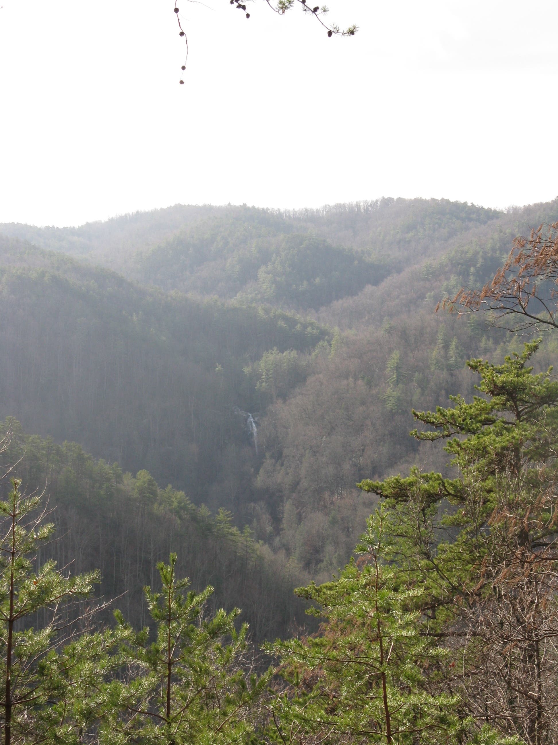 Jacob Fork River Gorge Overlook None