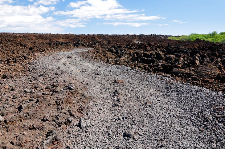 Jeep Track None