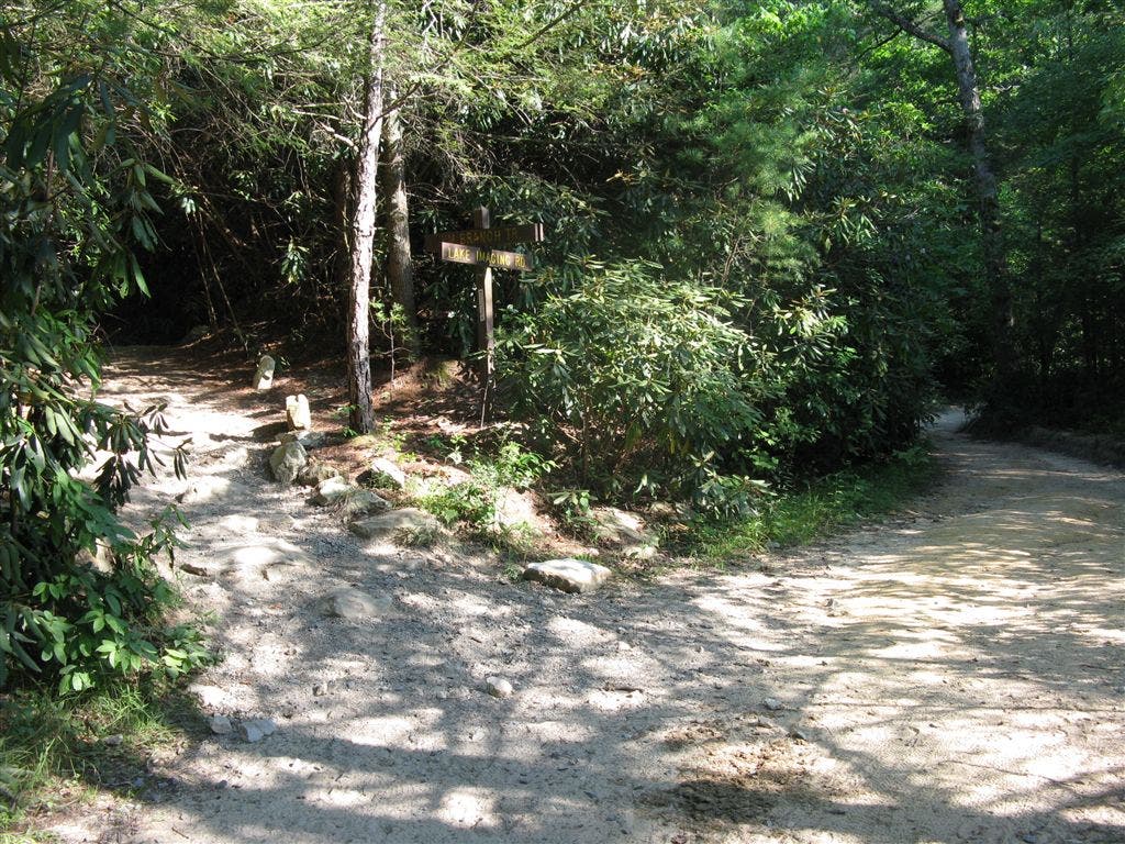 Jim Branch Trail Junction None