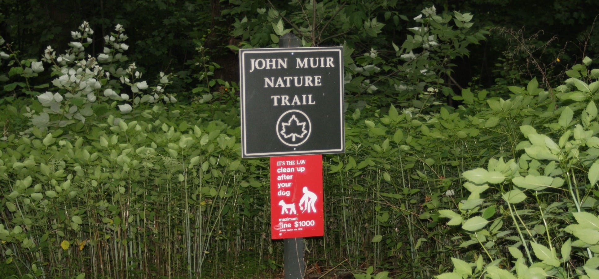 John Muir Nature Trail None