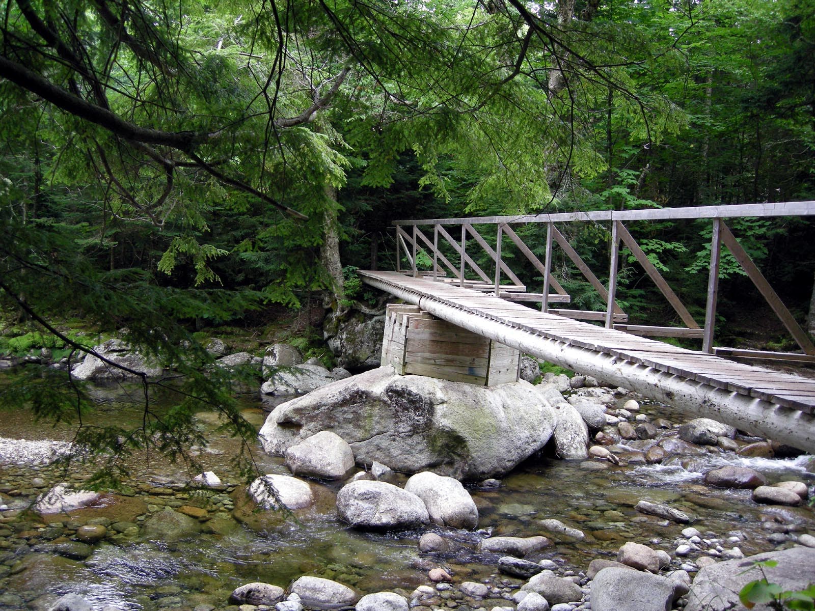Johns Brook Footbridge None