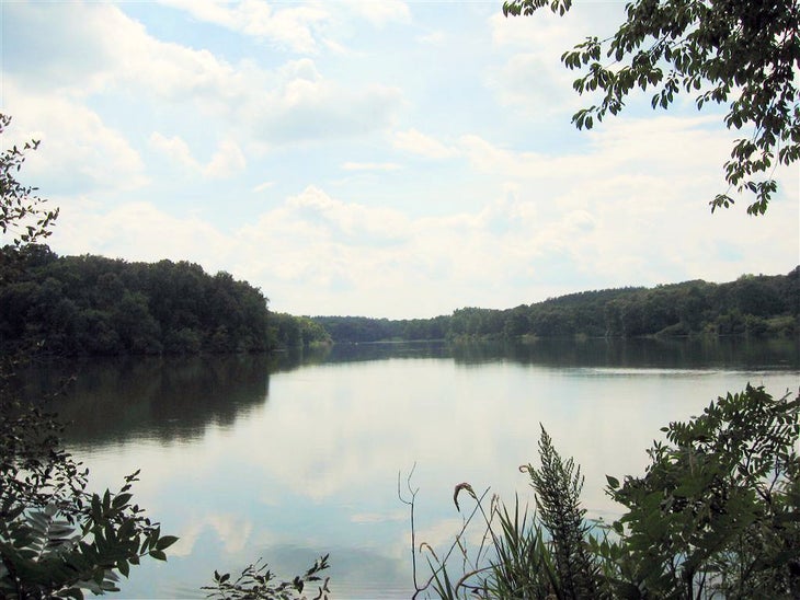 Johnson Lake None