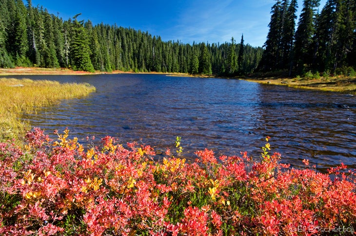 Junction Lake None