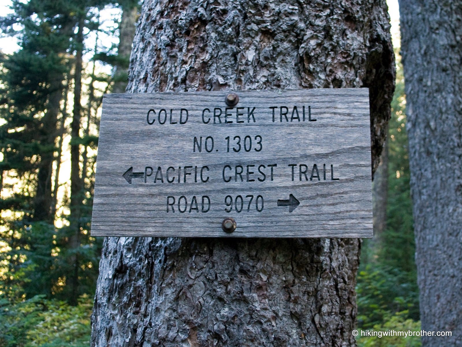 Junction Marker None