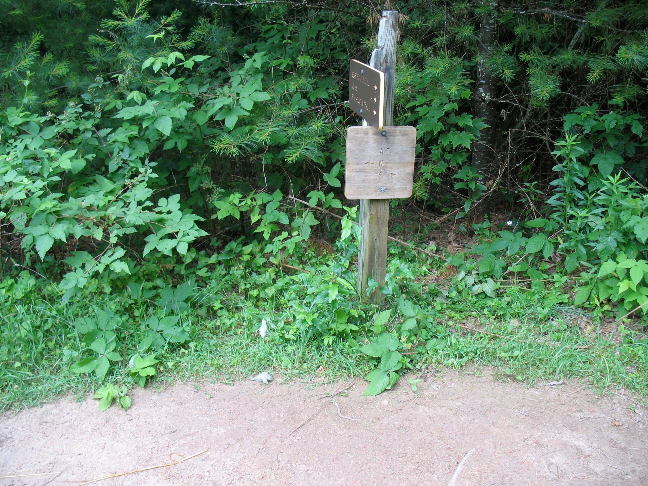 Junction of AT and Beartree Gap Trail None