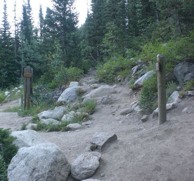 Junction to Red Pine Lake None