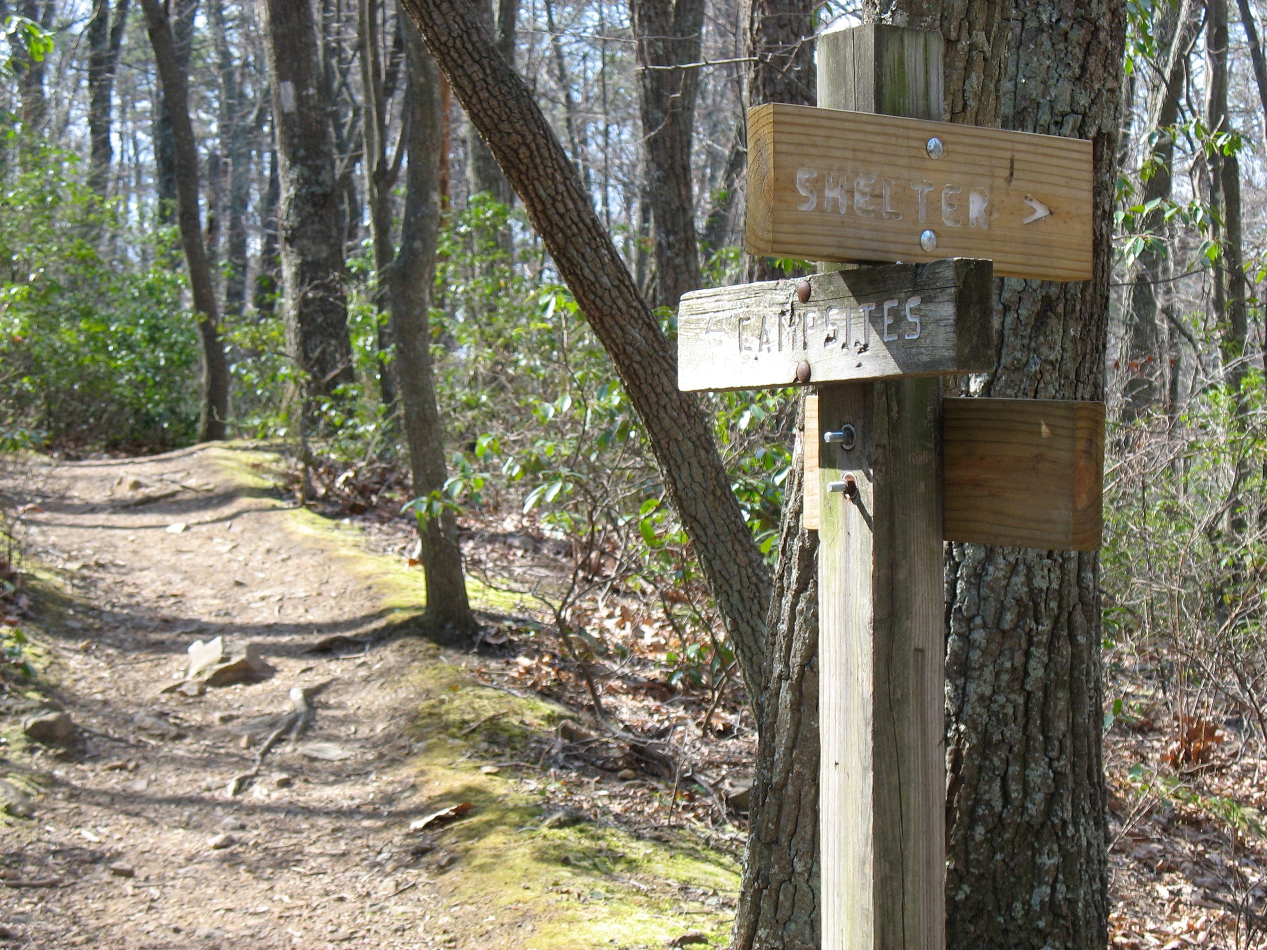 Junction with Catawba Shelter Spur Trail None