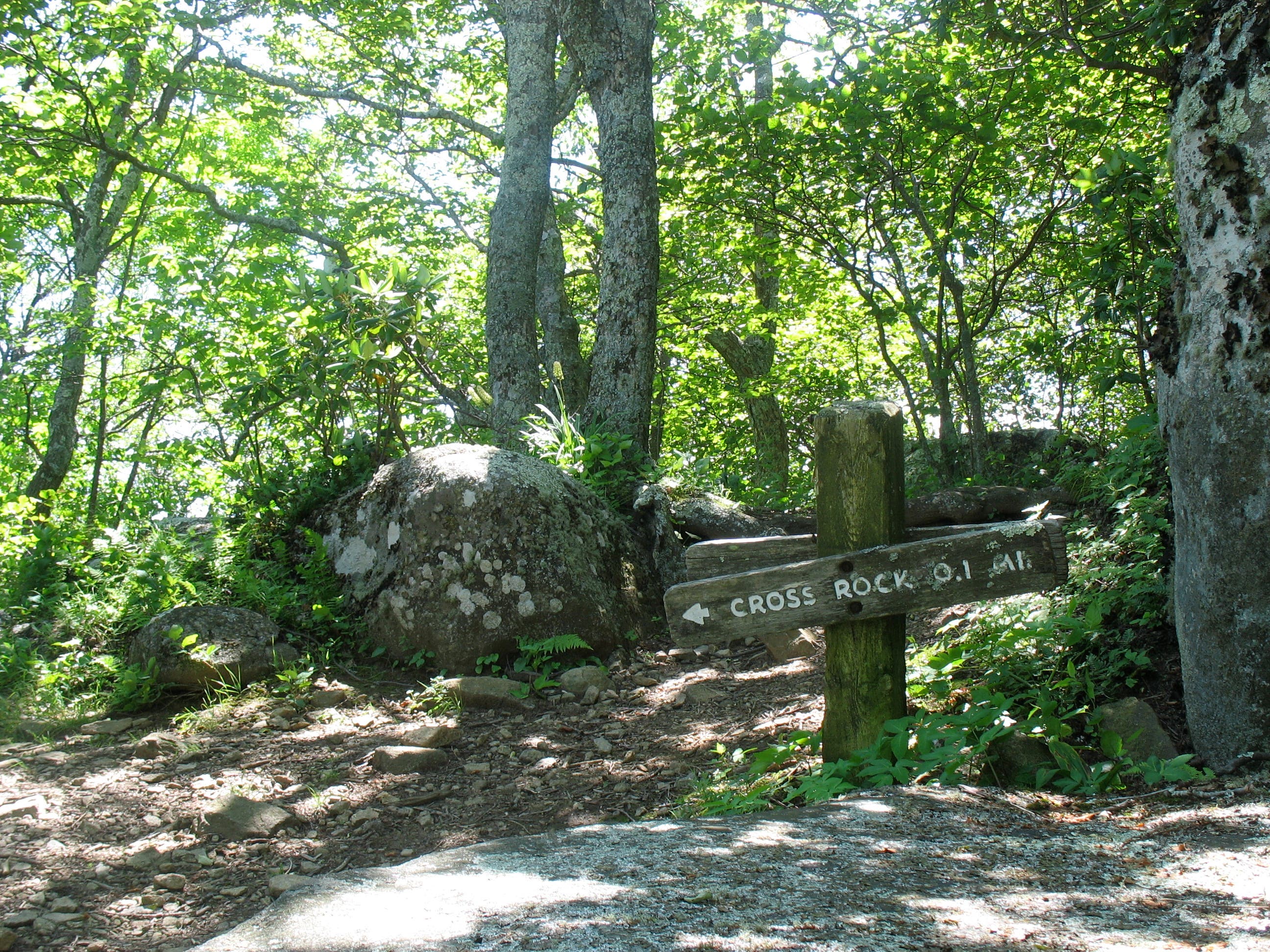 Junction with Cross Rock Trail None