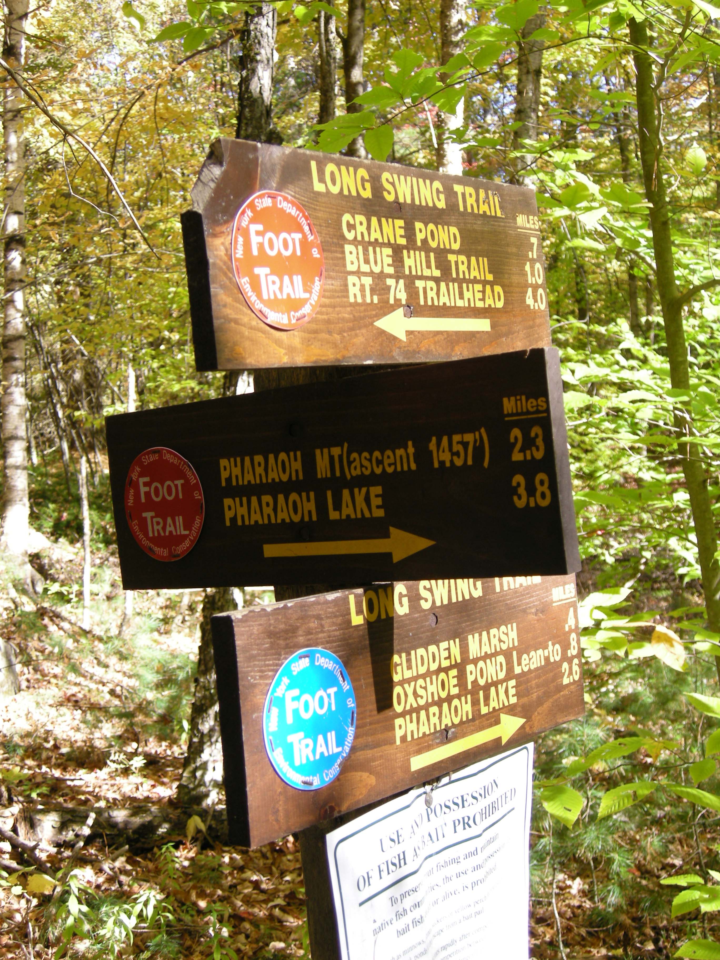 Junction with Long Swing Trail None