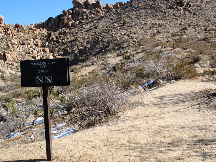 Junction with Mastodon Peak Trail None