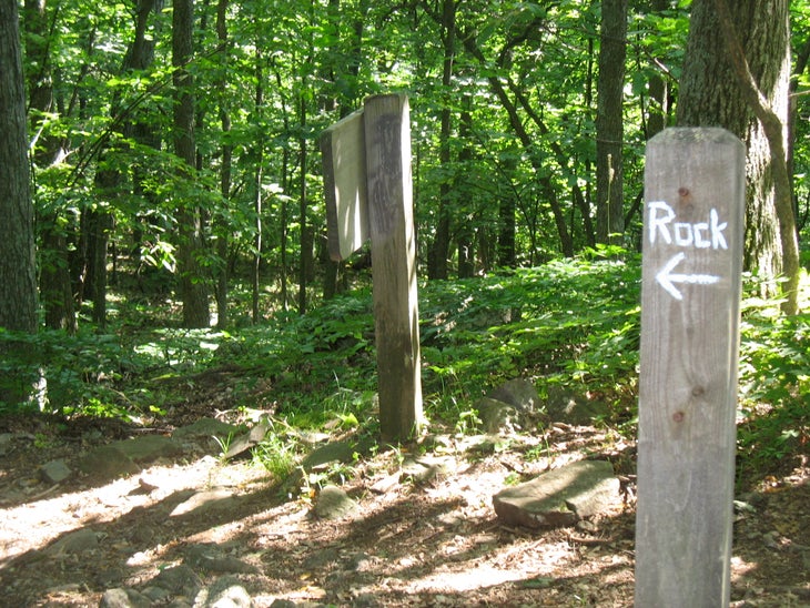 Junction with Spur Trail None
