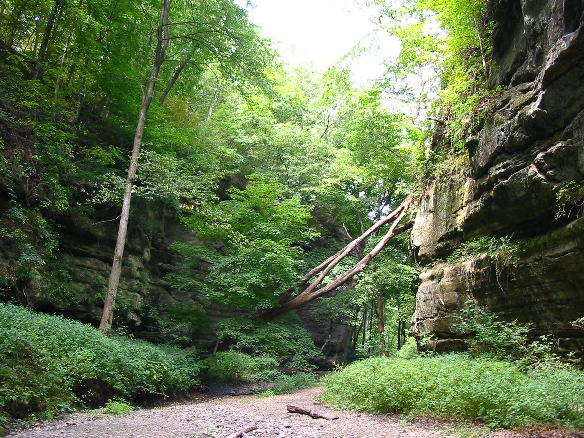 Kaskaskia Canyon None