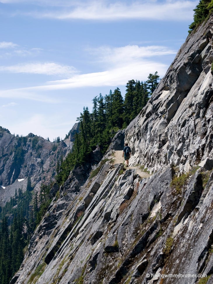 Kendall Katwalk None