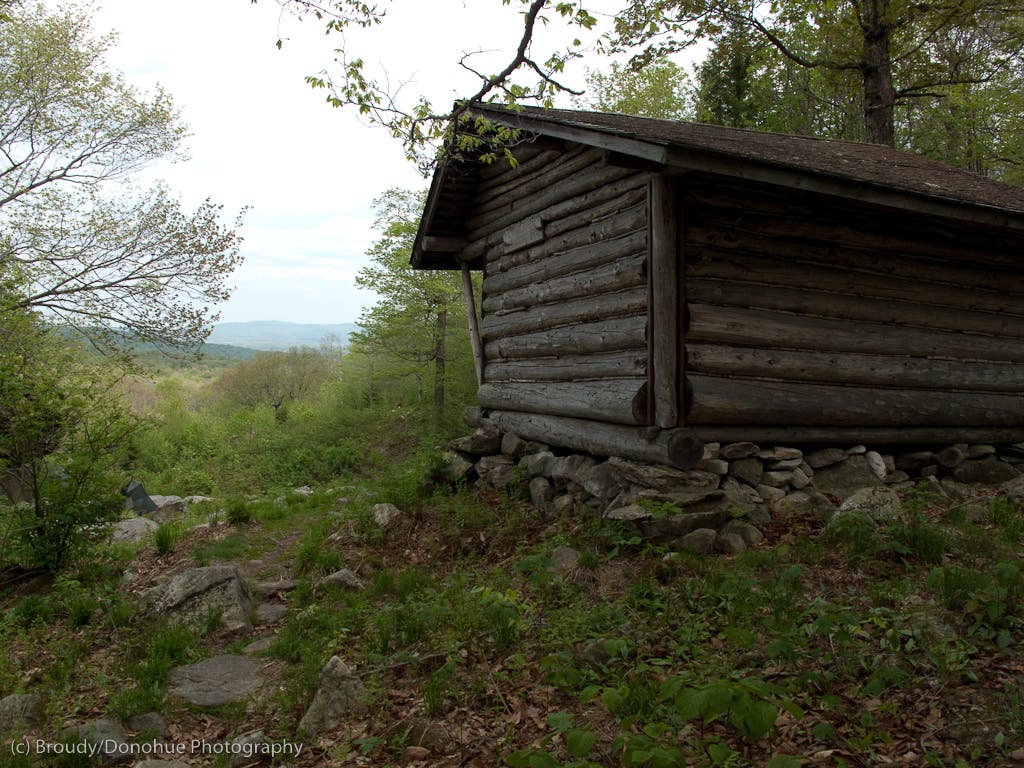 Kid Gore Shelter None