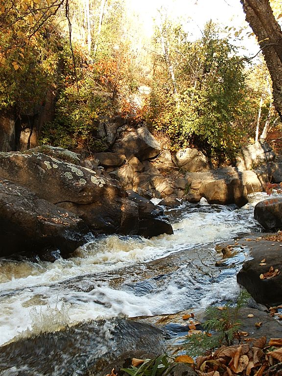 Kingsbury Creek rapids None