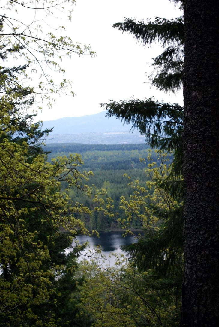 Klaus Lake None