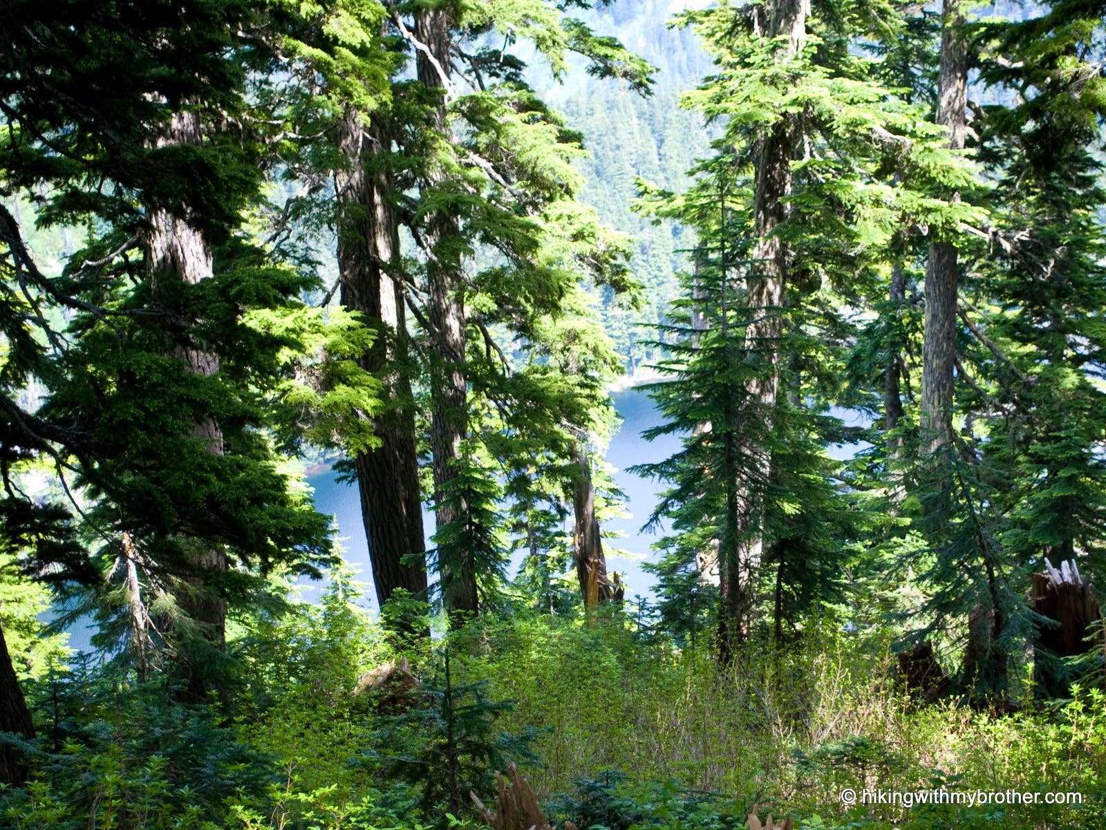 Kulla Kulla Lake None