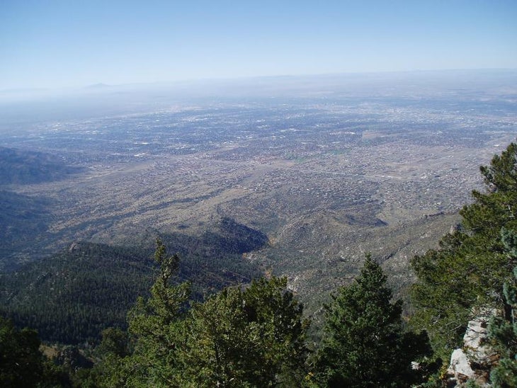 Hiking the Domingo Baca Trail, Sandia Mountains, NM – New Mexico Birder