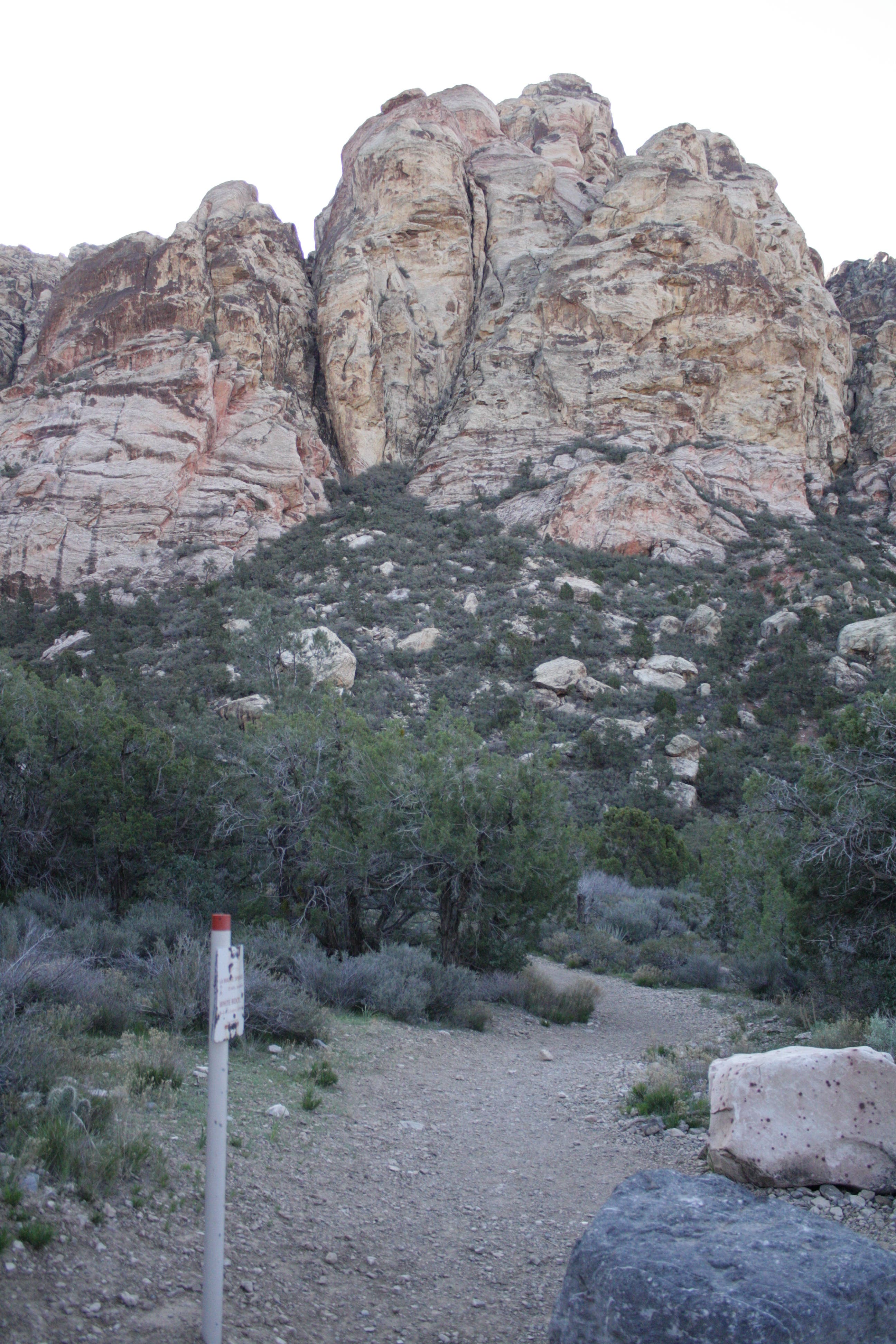 La Madre Springs Junction None