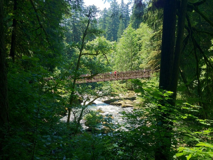 lacamas park None