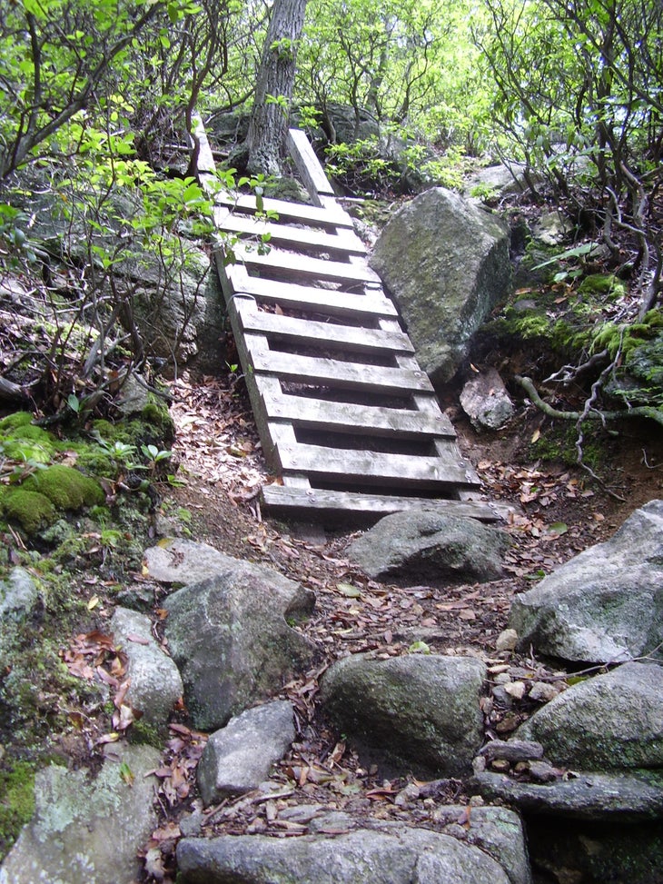 Ladder None