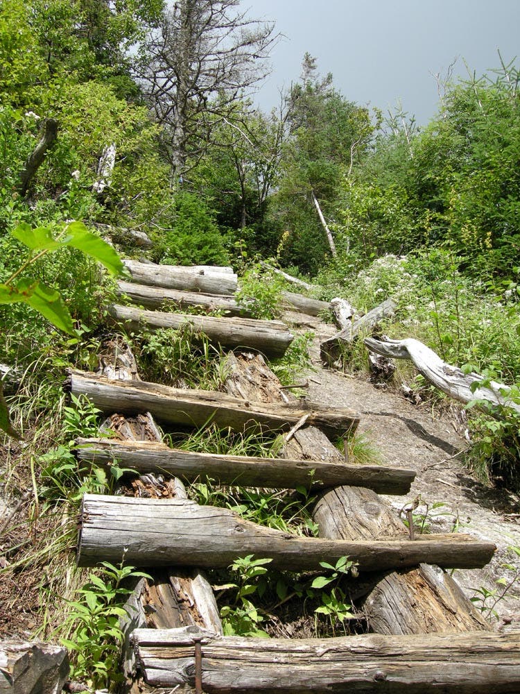 Ladder to the Summit None