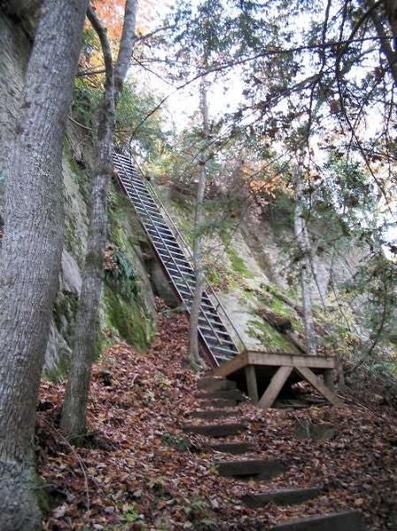 Ladders None