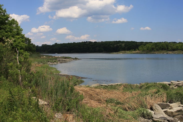 Lagoon None
