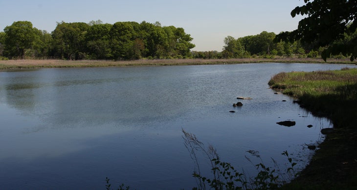 Lagoon None